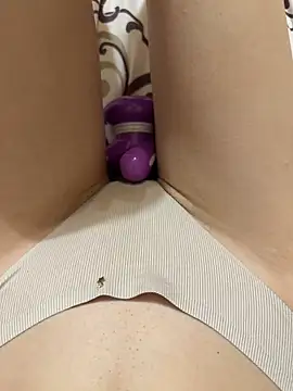 Veronikamilka webcam