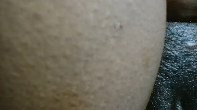Keishaa-77 webcam