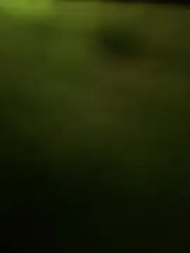 Black_Chanel webcam