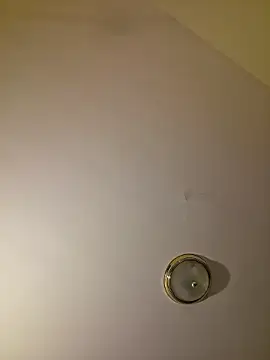 piggylatino webcam
