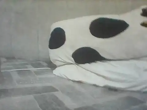 Thand03 webcam