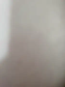 RYANWONG2411 webcam