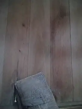 Full039 webcam