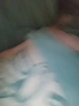 priceC411 webcam