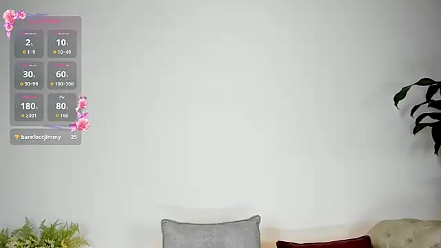 Jentokio webcam