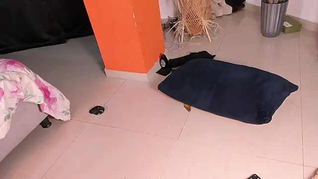 AfroditaRoy webcam