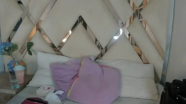 arixht webcam