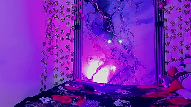 Roxy_alexa webcam