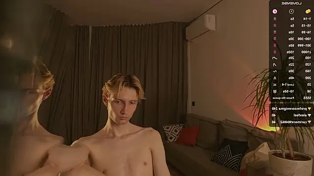 artkita webcam