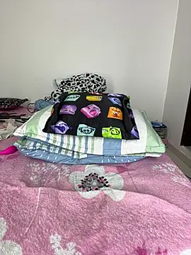 sandylau webcam