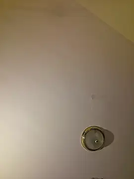 piggylatino Live Sex Cam-Show