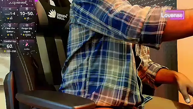 SilverShade3 webcam