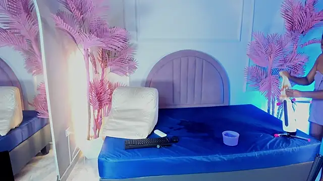 Nalapalmer webcam