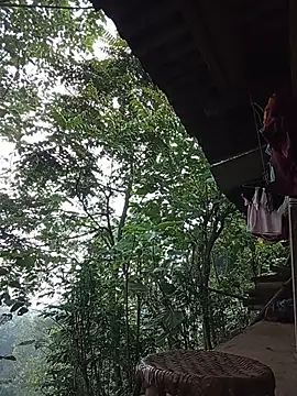 Td3di webcam
