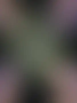bbwswe webcam