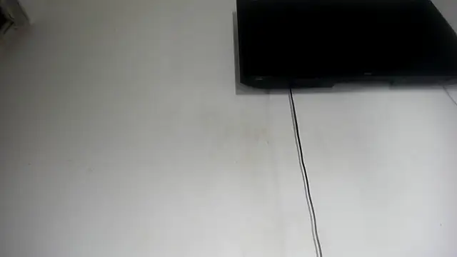 Fox_Loves webcam