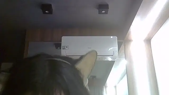 SkinnyKitten webcam