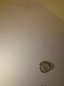 piggylatino live webcam show