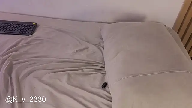 sofiesoft webcam