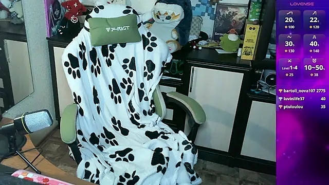 LeoGuessMe webcam