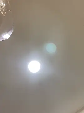 Danielaeliana webcam
