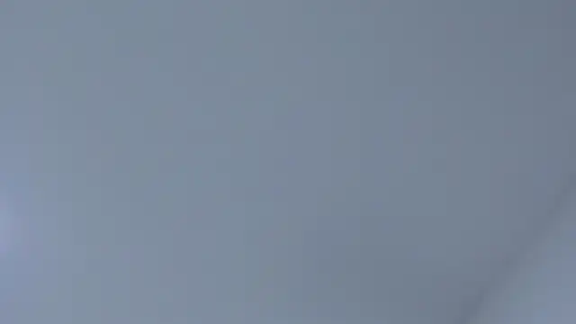 rousemonroe webcam