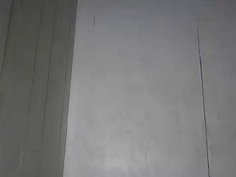 Prikev38452 webcam