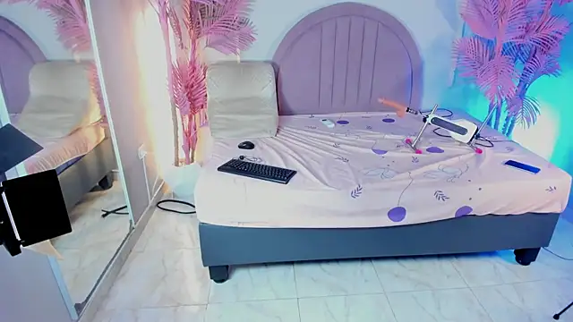 Nalapalmer webcam