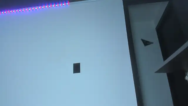 Valentina_js webcam