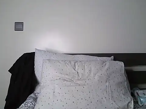 Alevic_ webcam