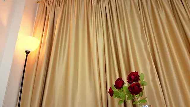 Kelani__Fire webcam