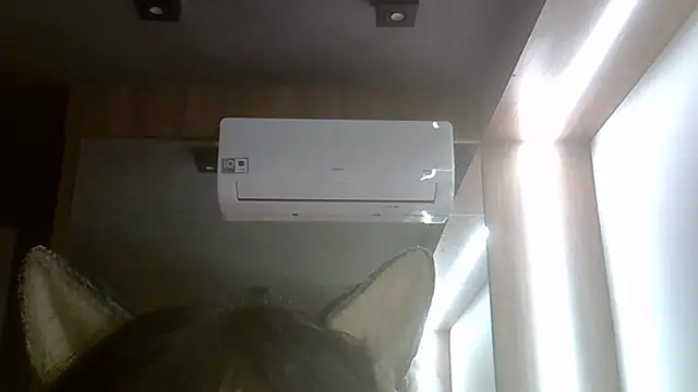 SkinnyKitten webcam