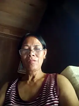 toyo_668 webcam