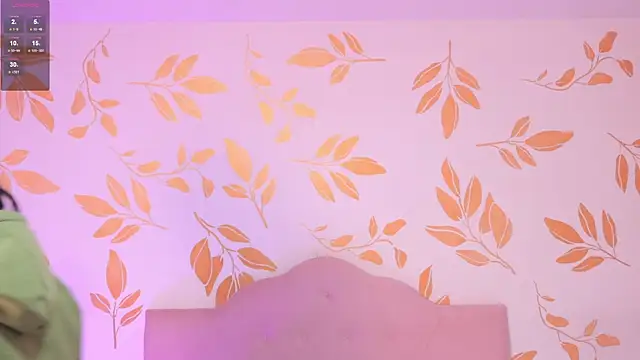 alix_bay webcam