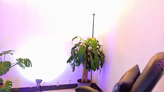 Sarasavage webcam