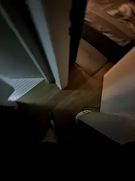 Reneamk webcam