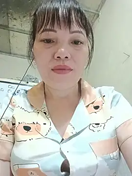 Sana-vn webcam