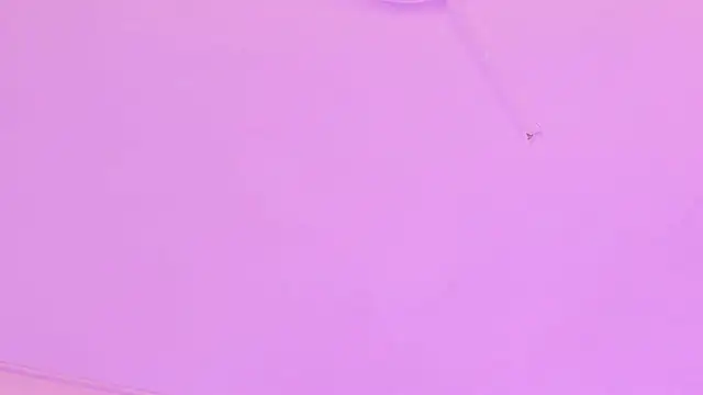 Susan-Sweet-7 webcam