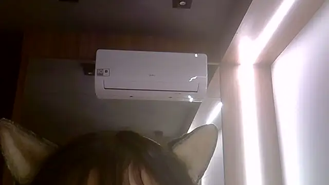 SkinnyKitten webcam