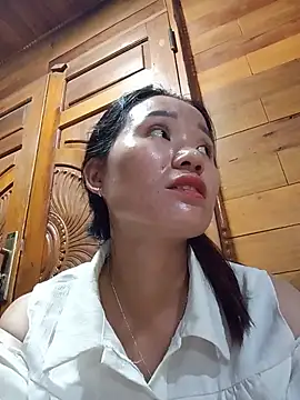 Td3di webcam