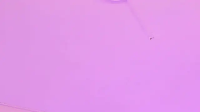 Susan-Sweet-7 webcam