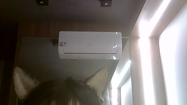SkinnyKitten webcam