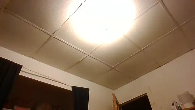 starlight1983 webcam