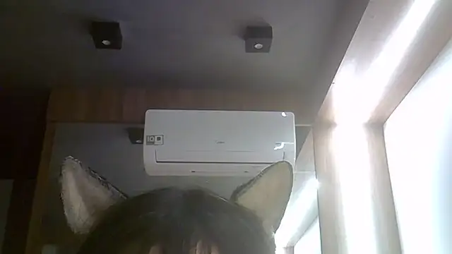 SkinnyKitten live cam on StripChat