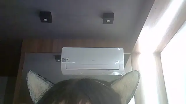 SkinnyKitten webcam