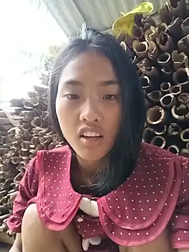hoa-tuylip (F young) - Ủng hộ mình