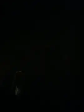 Tasty_Dickk webcam