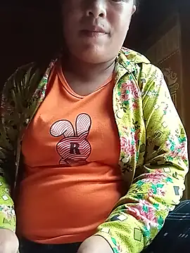 Ip34 webcam