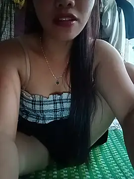 Havana- webcam