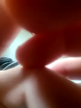 bch1045 webcam